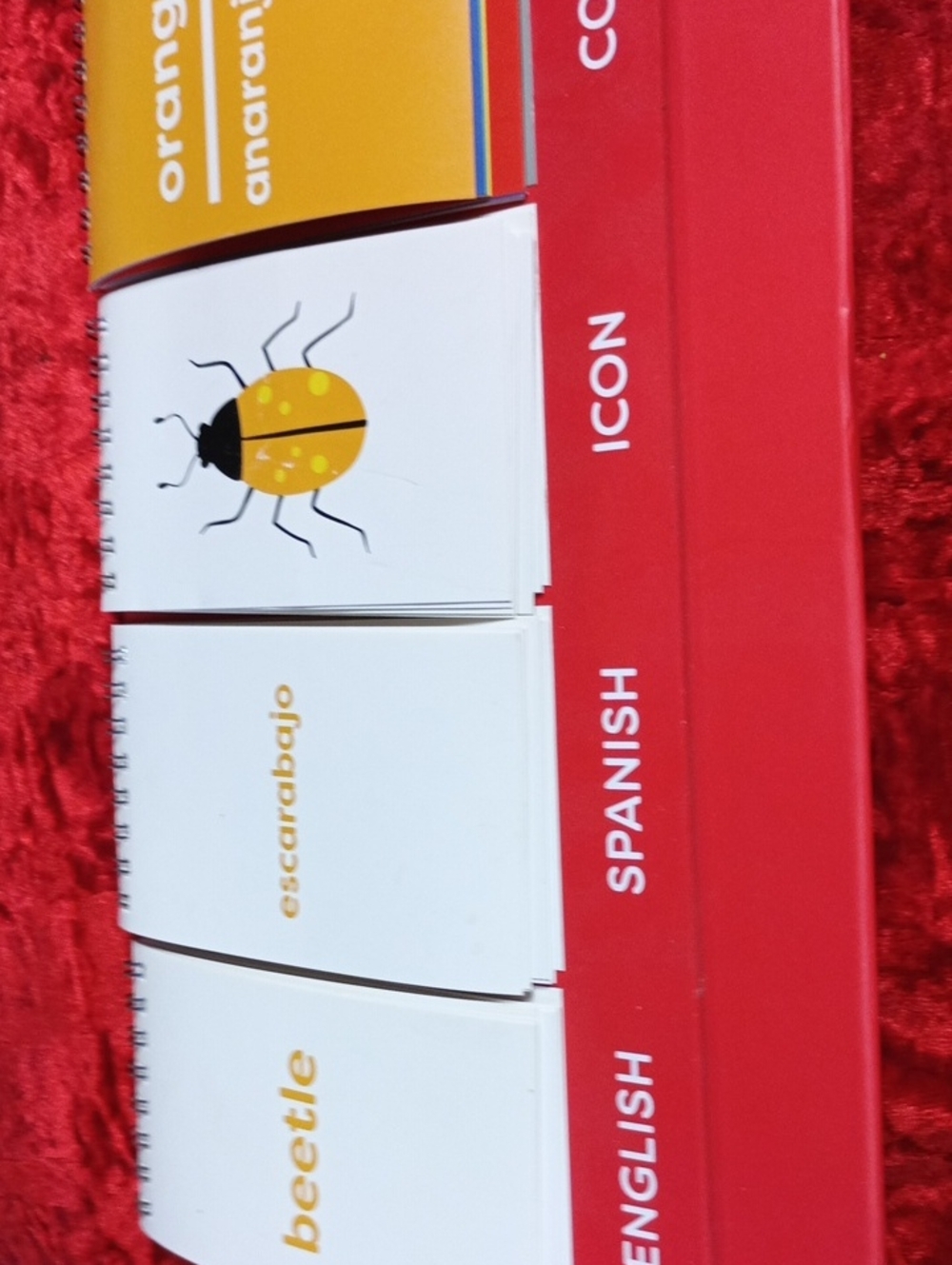 Standing English/Spanish Flip Book